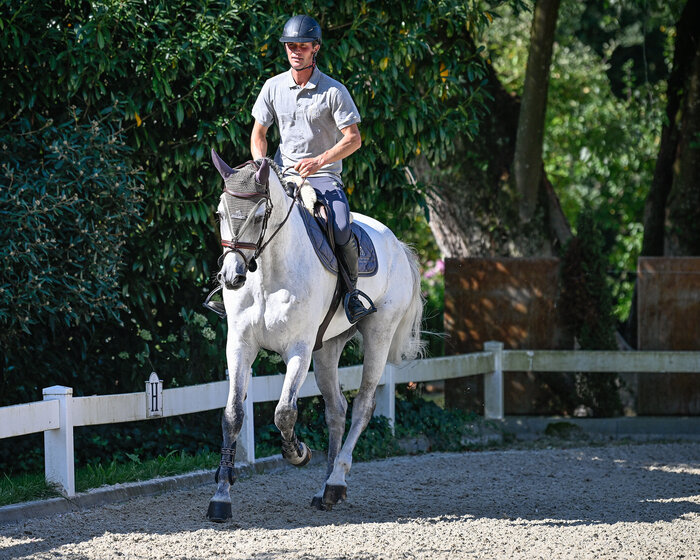 Ausbildung und Beritt